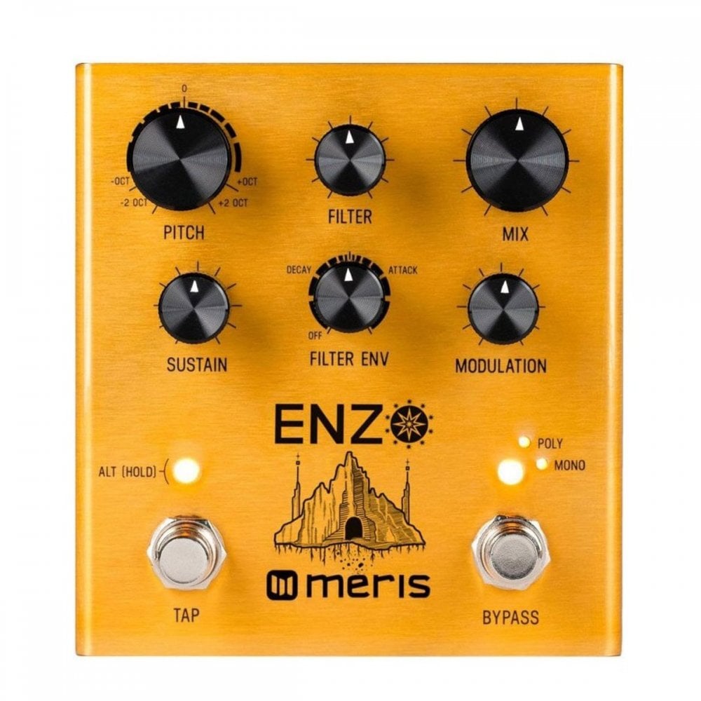 Enzo Multi-Voice Synthesizer Pedal