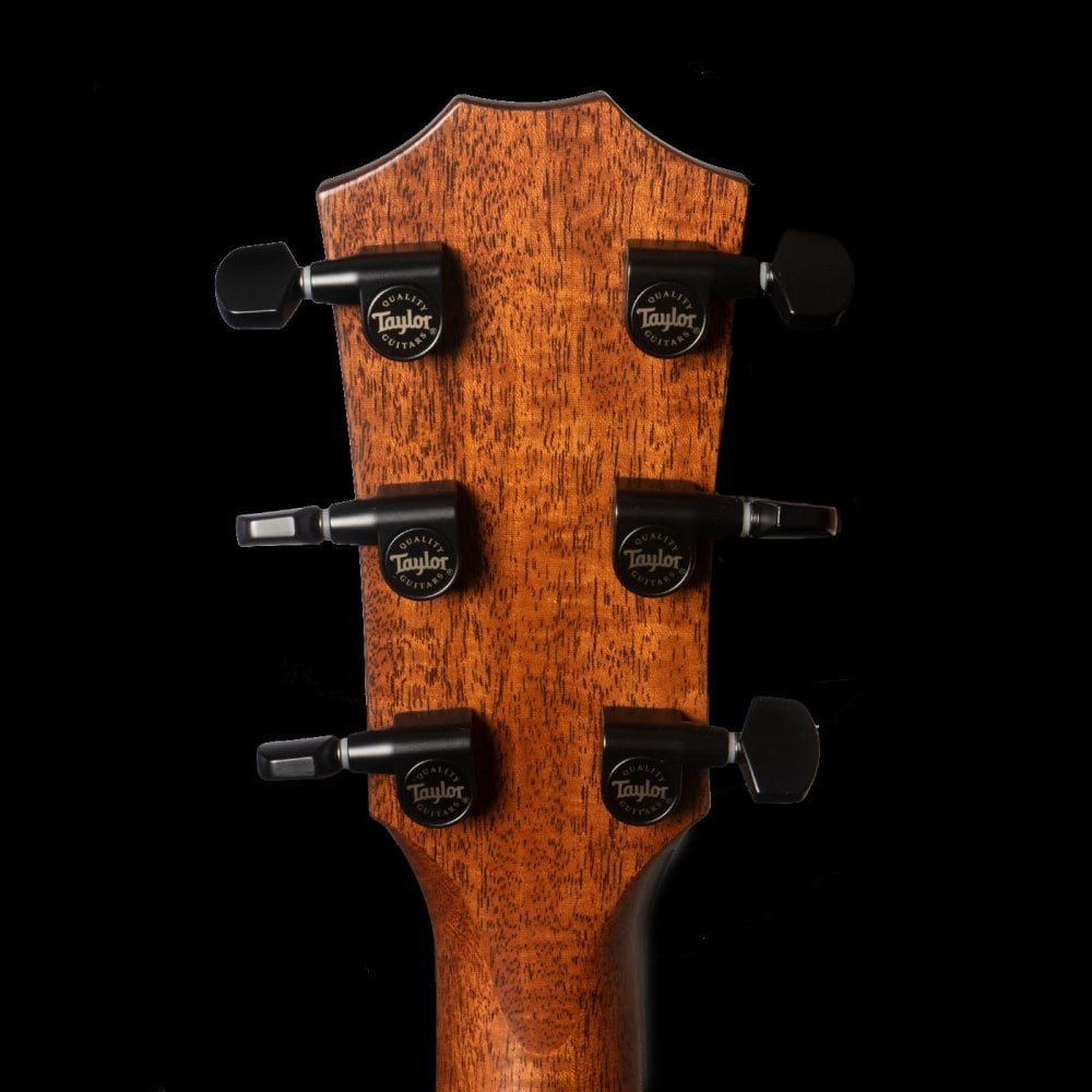 Taylor 314ce Ltd Quilt Sapele in Edgeburst