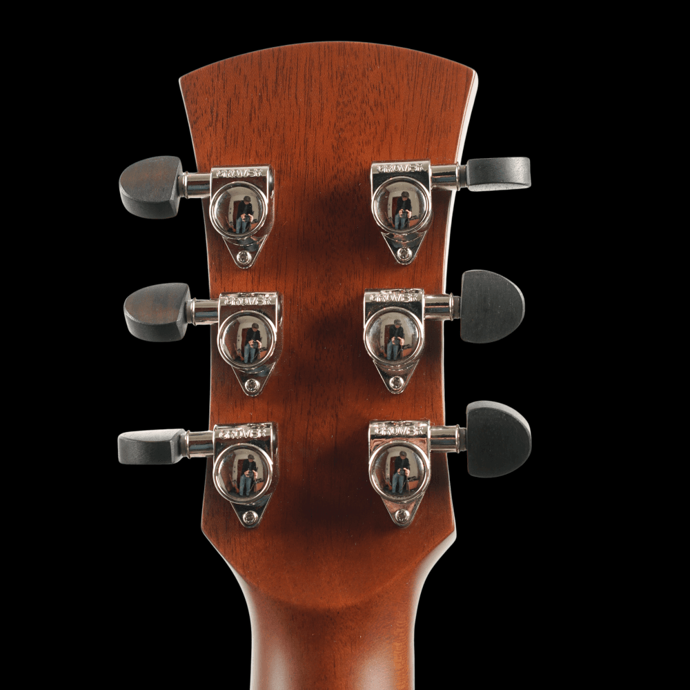 Legacy Series FG4 Earth CE Satin Sunburst