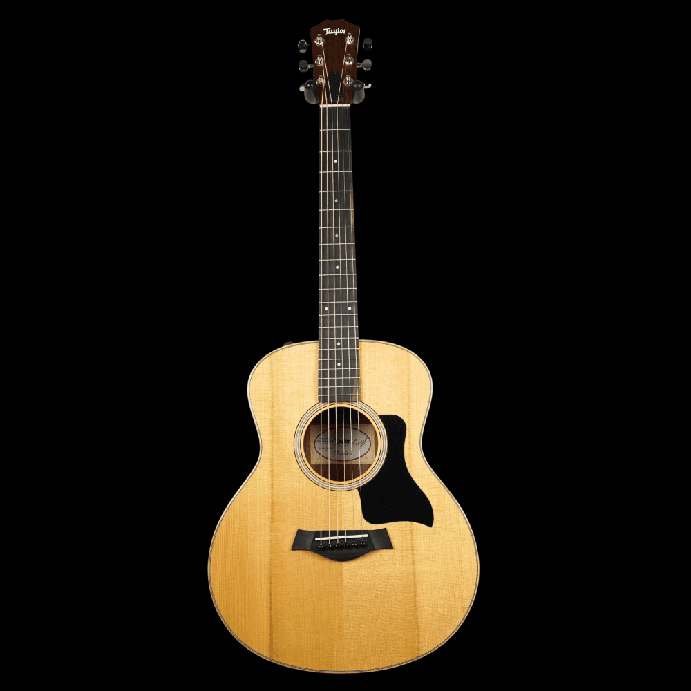 GS Mini-e Rosewood Plus