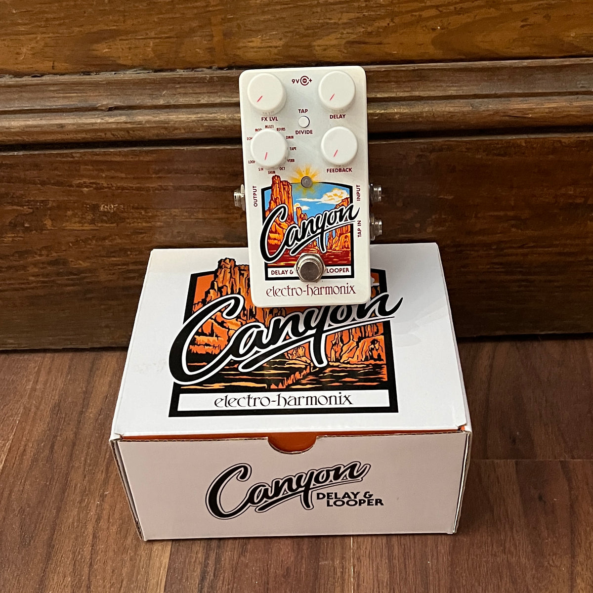 Canyon Delay & Looper Pedal (Pre-Owned)