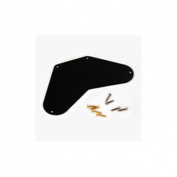 PRS Spare - DGT Electronics Backplate (ACC-4039)