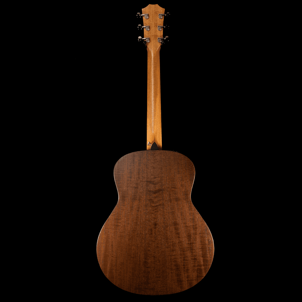 Taylor GTe Urban Ash in Natural w/ Urban Sienna Back & Sides