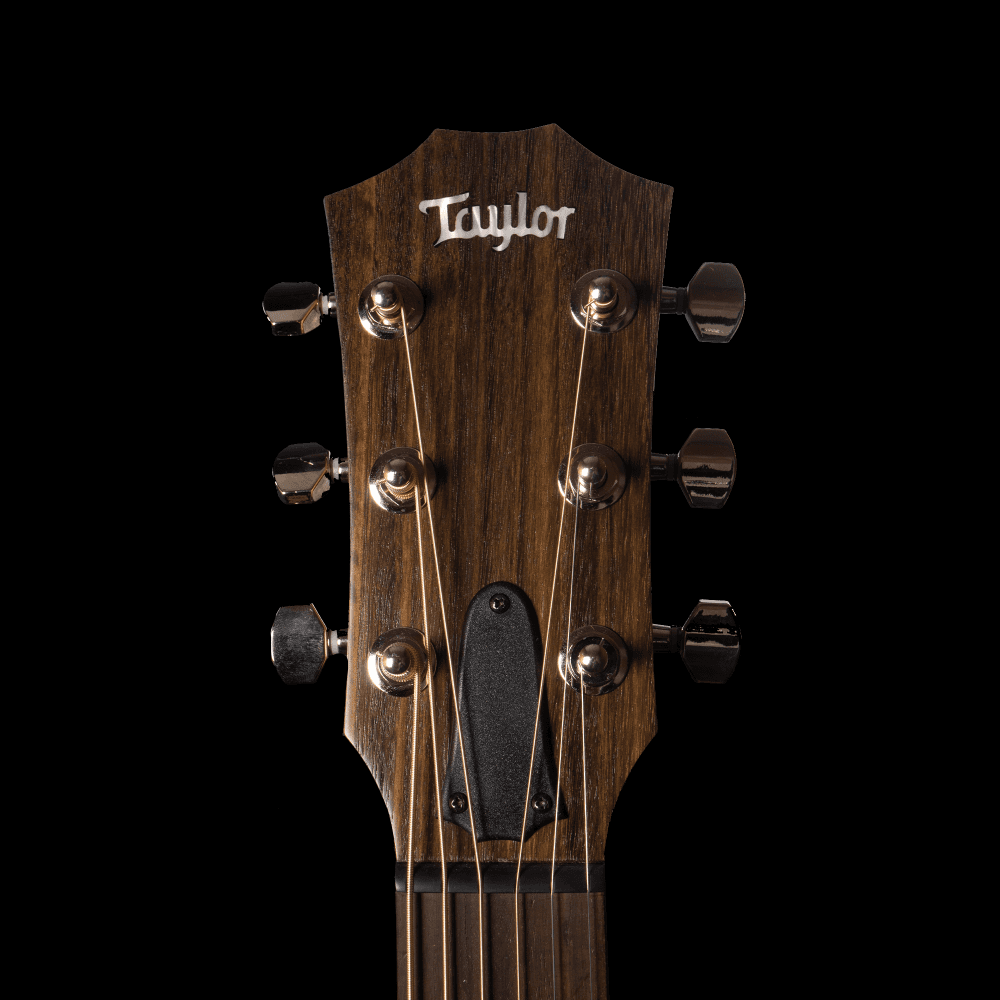 Taylor GTe Urban Ash in Natural w/ Urban Sienna Back & Sides