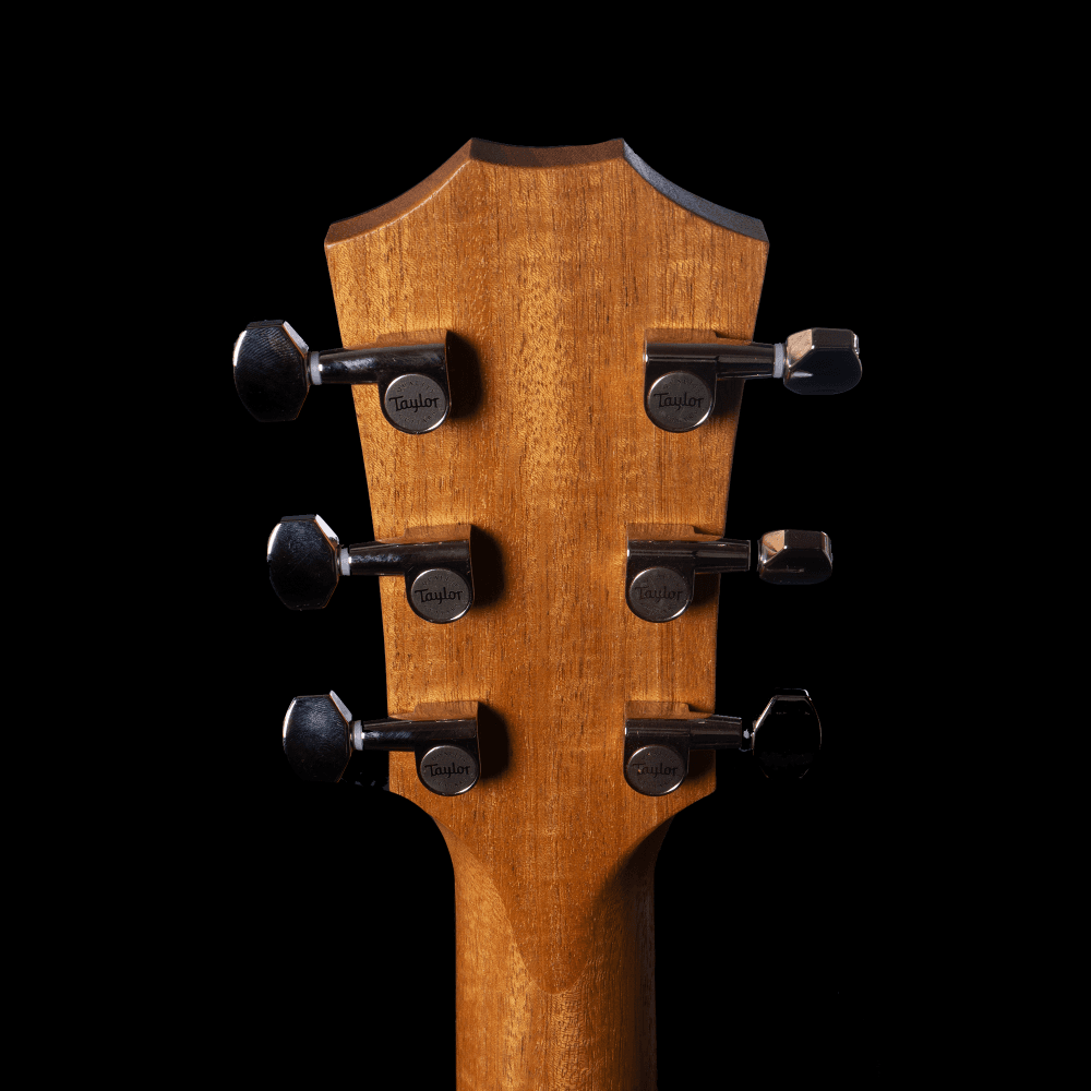 Taylor GTe Urban Ash in Natural w/ Urban Sienna Back & Sides