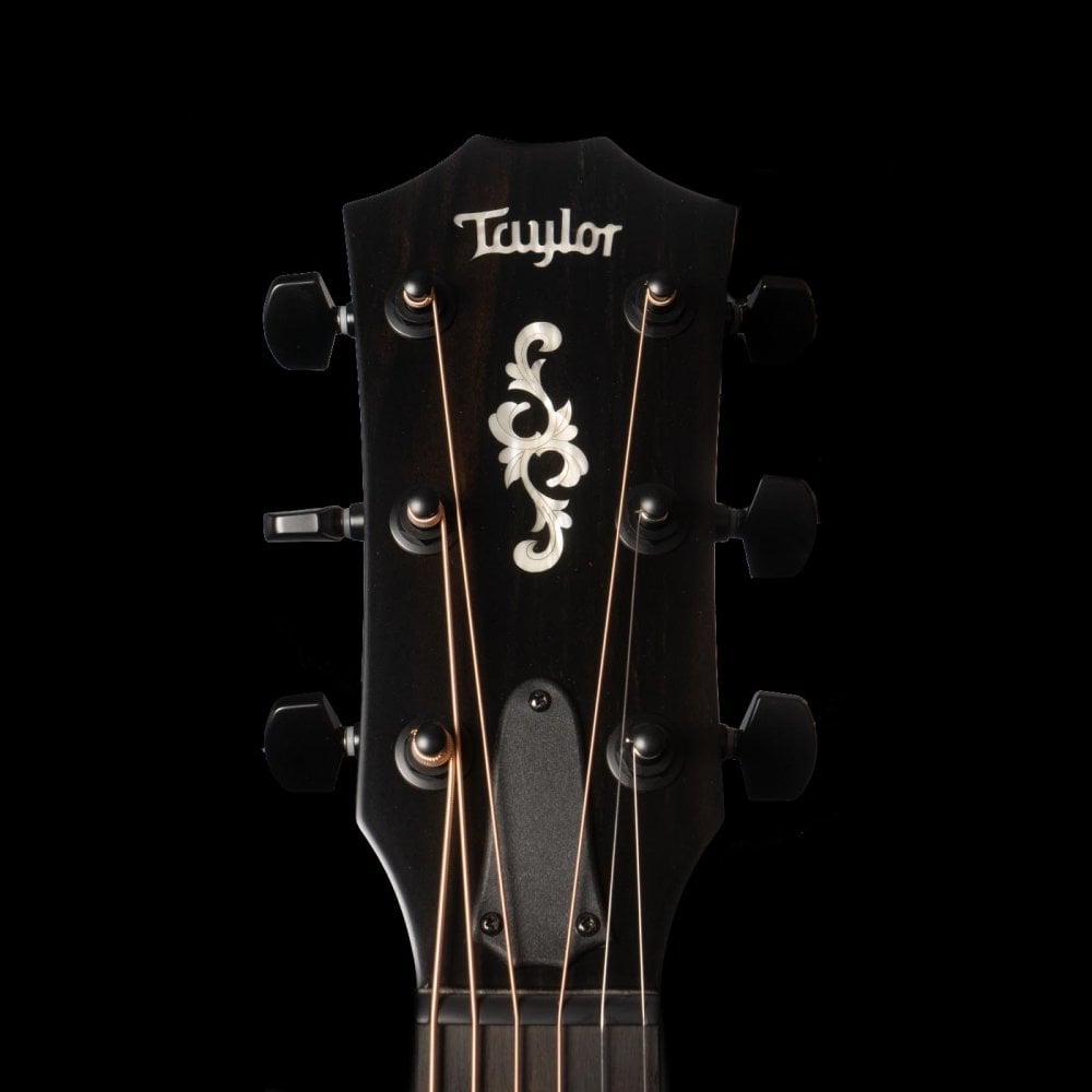 Taylor 314ce Ltd Quilt Sapele in Edgeburst