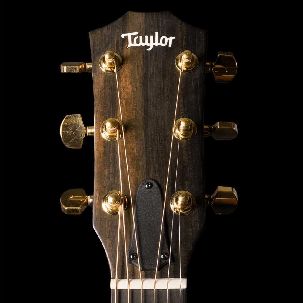 Taylor 224ce-UA Urban Ash DLX Ltd in Tobacco Sunburst