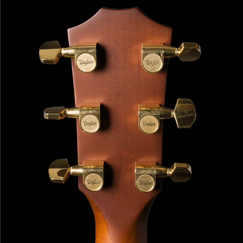 Taylor 224ce-UA Urban Ash DLX Ltd in Tobacco Sunburst