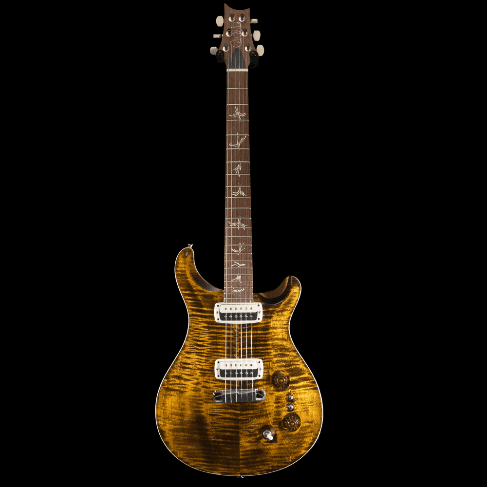 Paul's Guitar in Yellow Tiger