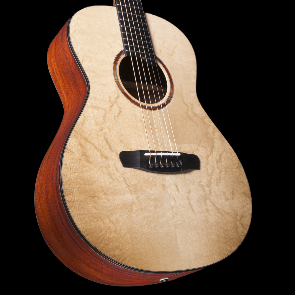 Dowina Master Series Bariole GD