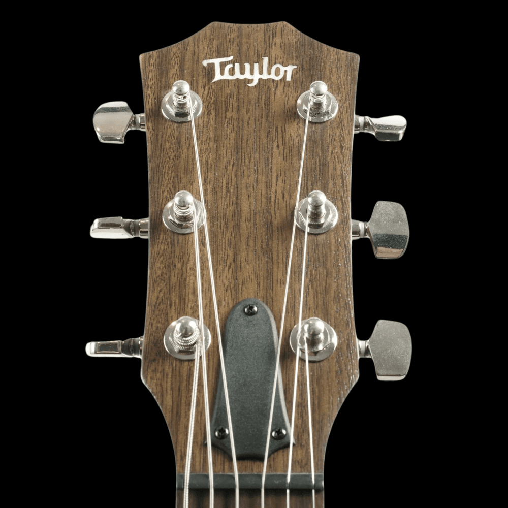 AD27e Flame Top Grand Pacific Electro Acoustic