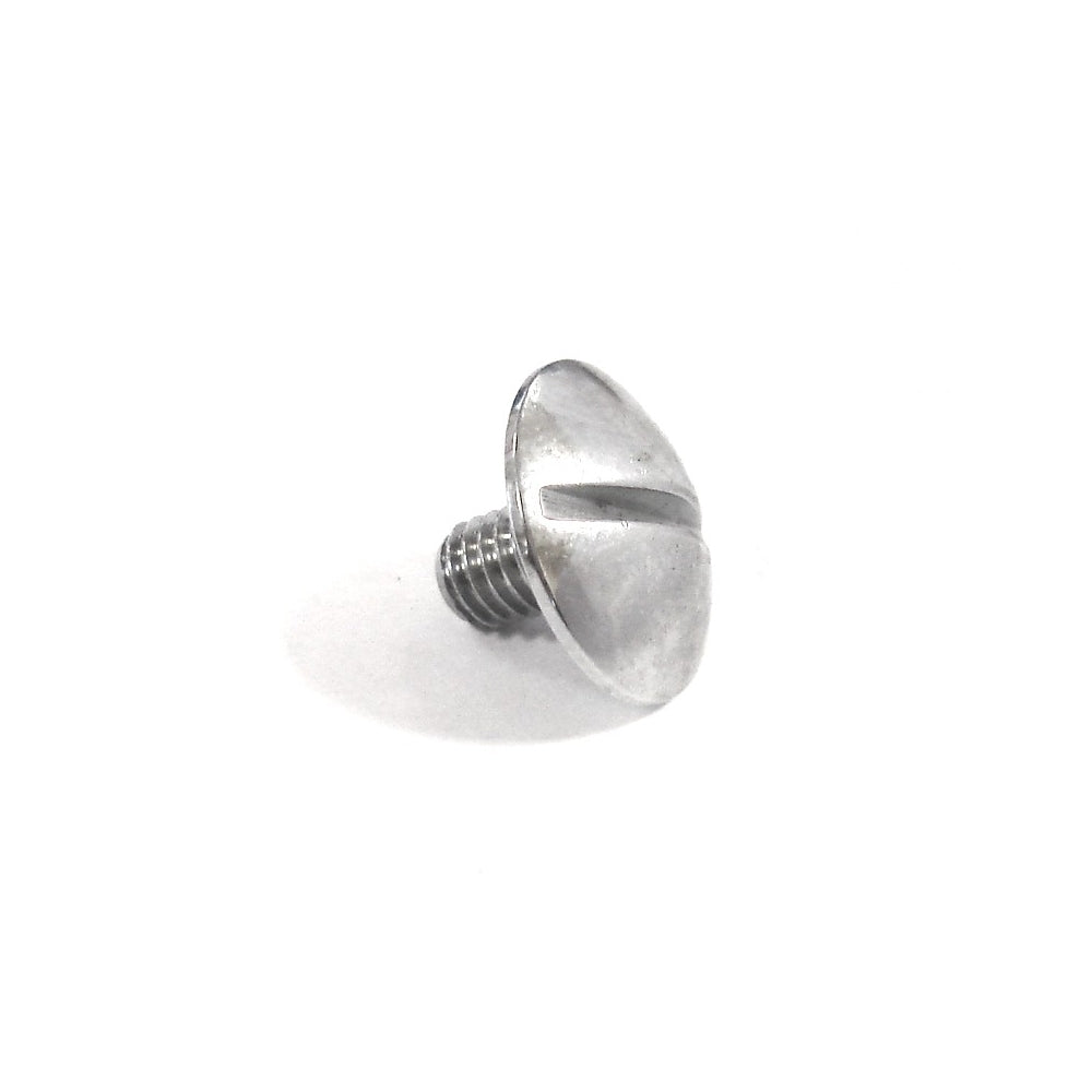 Rickenbacker Accent Tremolo Arm Screw (5001146)