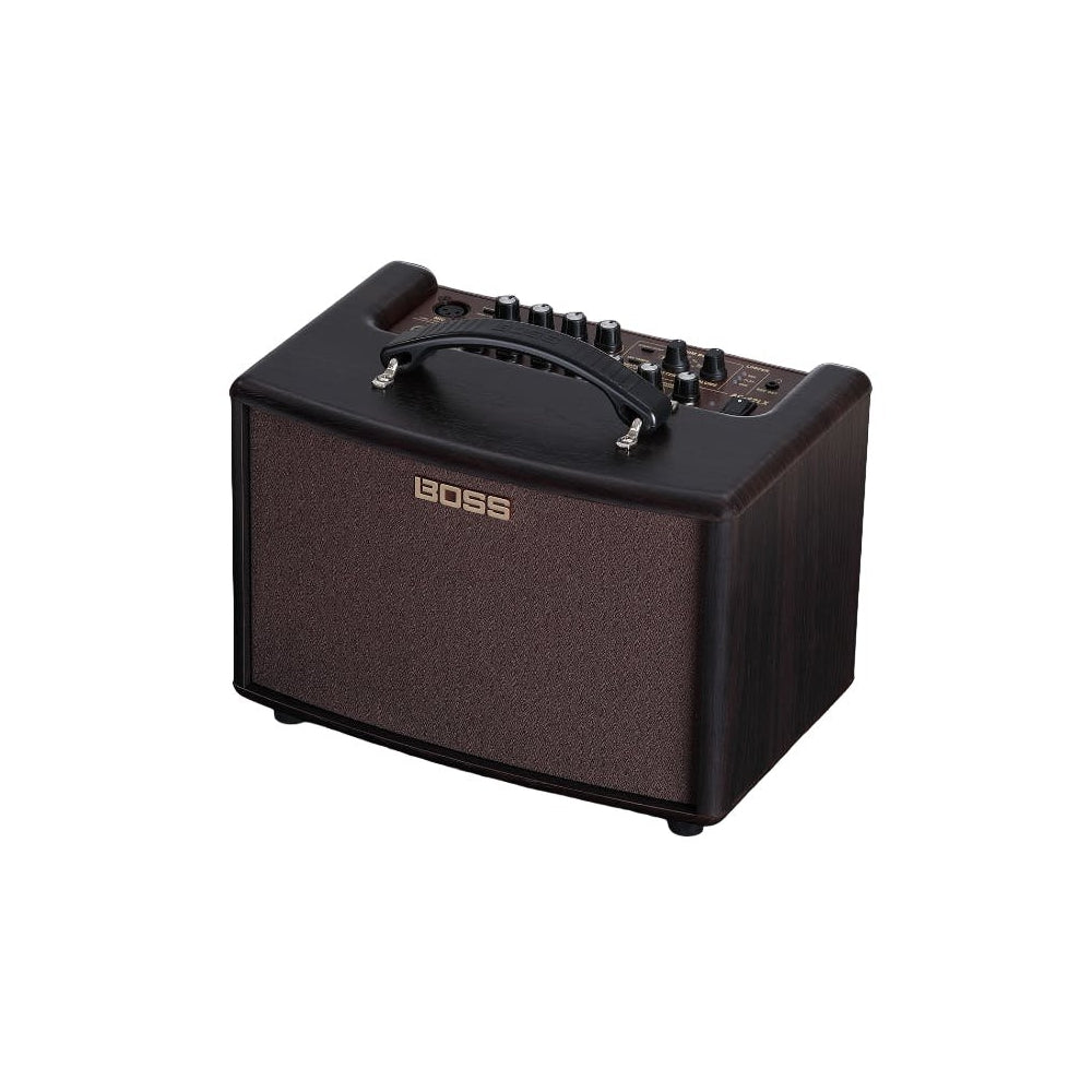 AC-22LX 10 Watt Acoustic & Vocal Amplifier