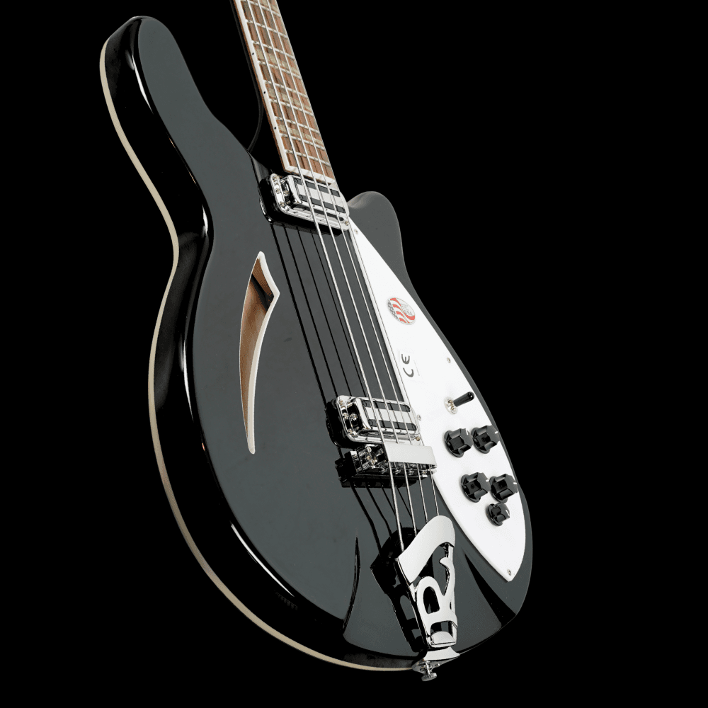 4005V Semi Acoustic Bass (Jetglo)