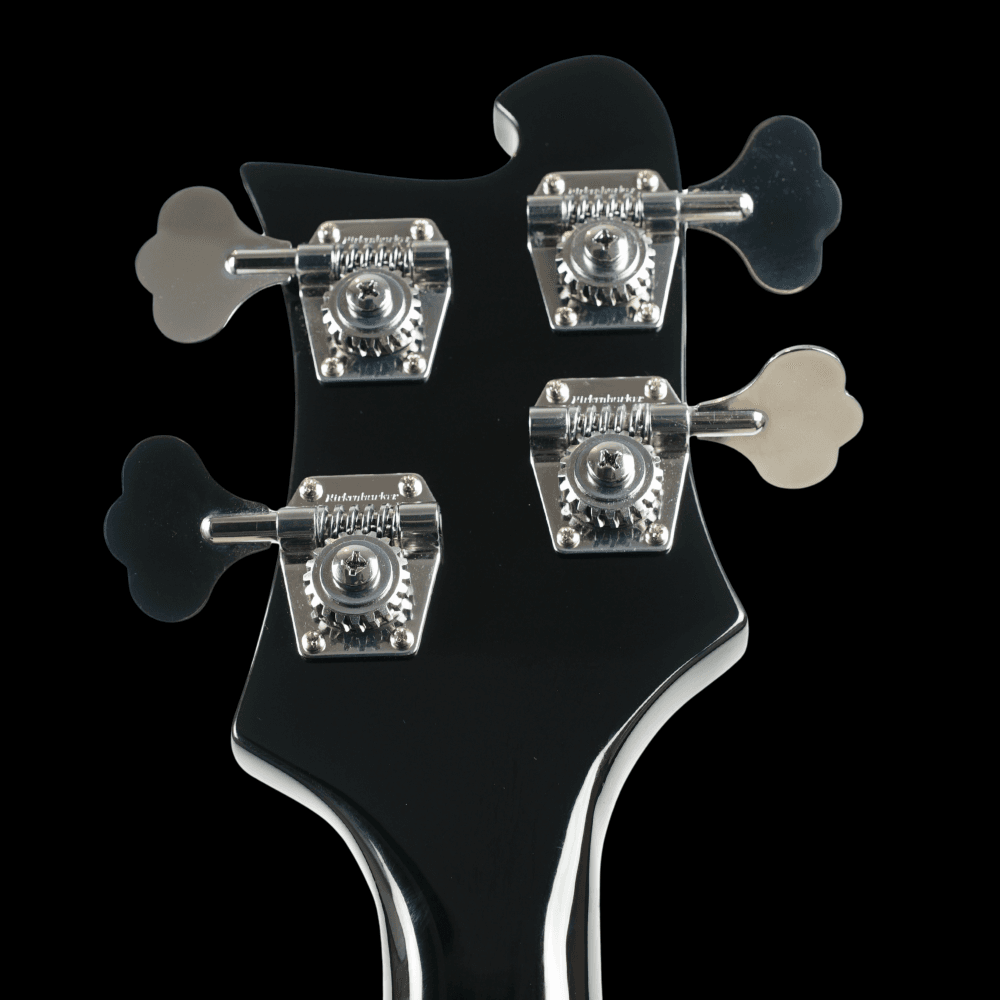 4005V Semi Acoustic Bass (Jetglo)