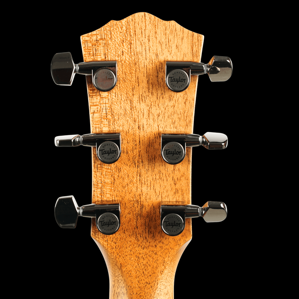 Custom# 33 Gold Label Super Auditorium (Custom)