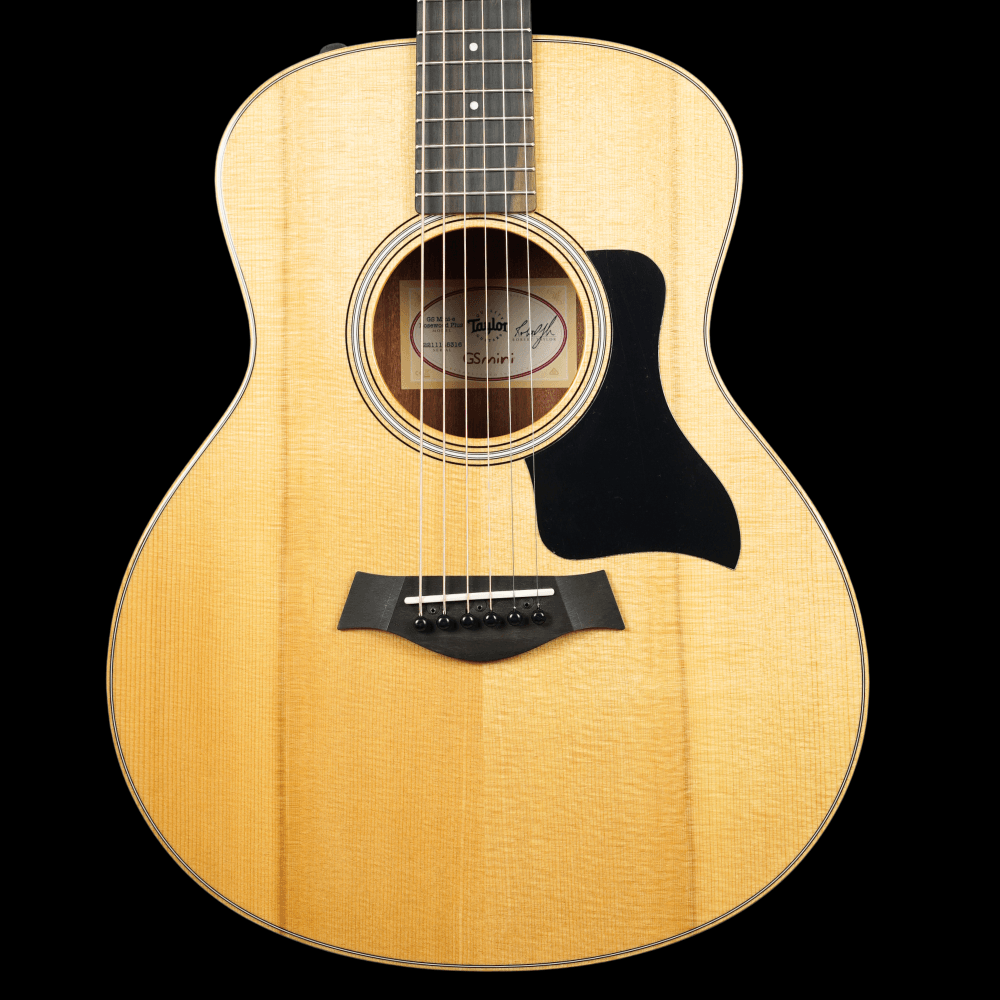 GS Mini-e Rosewood Plus