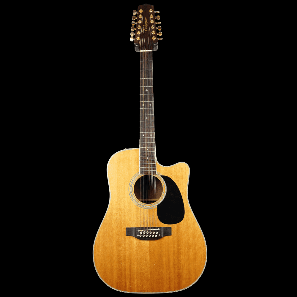 FP400SC 12 String, Natural (Pre-Owned)