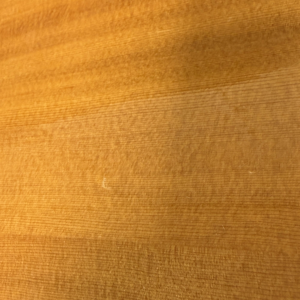 FP400SC 12 String, Natural (Pre-Owned)